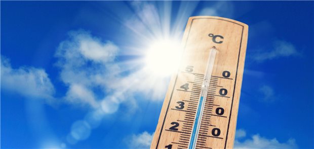 Hitze lässt wohl kardiale und pulmonale Mortalität steigen Ein Holzthermometer ragt in den sonnigen Himmel. Es zeigt eine Temperatur von 37° Celsius an.