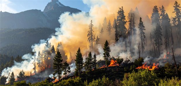 Hitze plus Waldbrandrauch erhöhen kardiovaskuläre Mortalität Luftverschmutzung aufgrund von Feuer, gepaart mit Hitzewellen - da leidet nicht nur die Lunge, sondern auch das Herz.