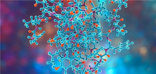 Insulinresistenz auch bei Typ-1-Diabetes in den Fokus nehmen! Dreidimensionale Darstellung des humanen Insulin - einem lebenswichtigen Proteohormon.