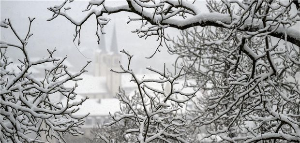 Gesundheit und Pflege: Grünen-Fraktion prangert „Winter der Enttäuschung“ an Baumäste mit Schnee, im Hintergrund eine Kirche.