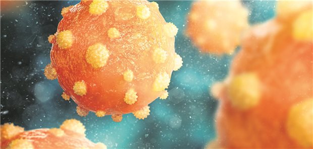 Screening auf Hepatitis B: Welche Laborwerte Sie bestimmen sollten Hepatitis B Virus