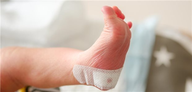 Erweiterung des Neugeborenenscreenings: Das sind die Unterschiede im DACH-Raum Babyfuß nach einer Bluentnahme an der Ferse