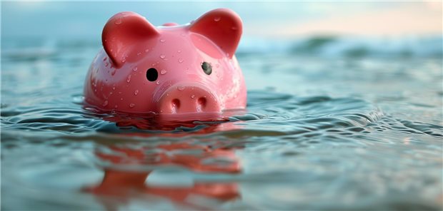 BAS-Präsident Algermissen: Liquidität des Gesundheitsfonds ist 2026 sichergestellt Ein rosafarbenes Sparschwein steht in Wasser.