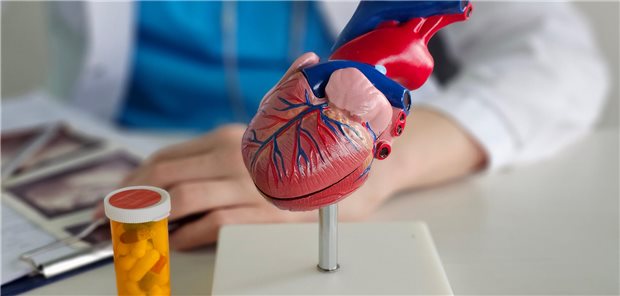 Nach Herzinfarkt: Wohl nicht jeder braucht dauerhaft einen Betablocker Eine Kardiologin klärt ihren Patienten über dessen Behandlungsplan nach seinem Herzinfarkt auf.