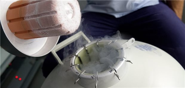 Legalisierung der Eizellspende: Regierung lässt Kommissionsbericht der Ampel liegen Nach Schätzungen werden in Deutschland jährlich bis zu 6.000 Kinder nach einer Eizellspende geboren. Doch die ist in Deutschland geboren – hier ein Tank in einem Kinderwunschzentrum, in dem sich sich eingefrorene Eizellen befinden.