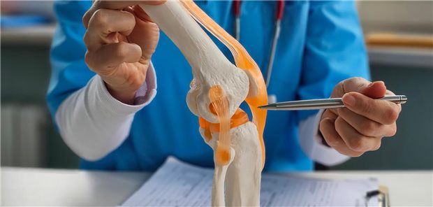 Schadet die Meniskektomie bei einem degenerativen Riss mehr, als sie nützt? Ein Arzt erläutert anhand eines anatomischen Modells des menschlichen Kniegelenks einem Patienten die Ursachen seiner degenerativ bedingten Meniskusruptur und die Behandlungsmöglichkeiten.