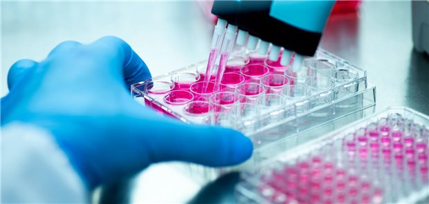 Drei neue Strategien gegen Pankreaskrebs Pipetten mit Flüssigkeiten im Labor.