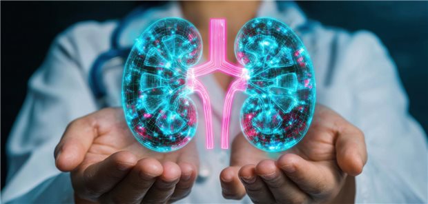 Neuregelungen für mehr Nierenspenden in Deutschland Nierenspende: Ende vergangenen Jahres warteten nach Daten der Stiftung Eurotransplant 6.200 Patienten auf eine neue Niere.