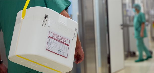 Gesundheitsministerium will Lebendspende bei Nierenkranken erleichtern Ein Mann trägt einen Styropor-Behälter zur Transplantation vorgesehenen Organen zun einem OP-Saal.