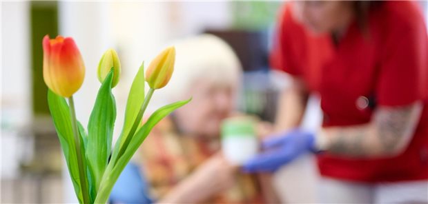Angekündigte Pflegereform: Ungeduld und Unzufriedenheit wachsen Im Vordergrund ein Blumenstrauß, im Hintergrund sitzt eine pflegebedürftige Frau in ihrem Zimmer, versorgt von einer Pflegefachkraft.