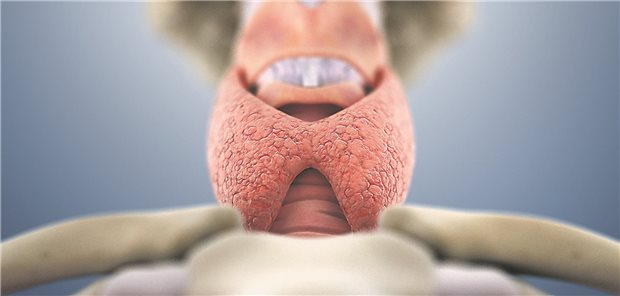 Wann Sie eine Therapie mit L-Thyroxin beginnen – und wann überdenken sollten Zwei Medikamentenschachteln mit L-Thyroxin.