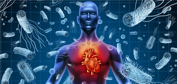 Endokarditis-Prophylaxe: Worauf achten und bei wem? Darstellung eines Menschen mit Bakterien, die um ihn herum schwirren.
