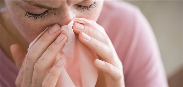 Effekt der elektronischen AU-Bescheinigung: Krankenstand ist um 2,5 Tage höher Junge Frau mit Erkältung, die sich die Nase putzt.