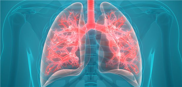 Schematische Darstellung einer Lunge