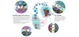 Die Ära Der Immunonkologie: Bessere Chancen Für Krebspatienten