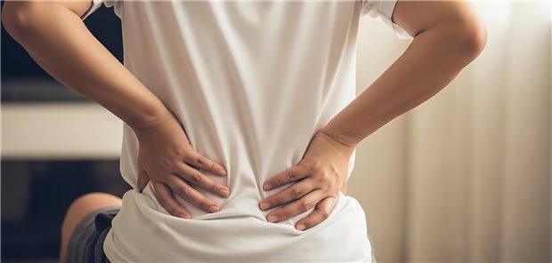 IGeL-Monitor: Nutzen von Osteopathie bei Rückenschmerzen weiterhin „unklar“ Rückenansicht einer sitzenden Person, die sich beide Hände ans Kreuz hält