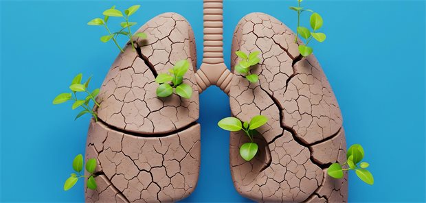 Regeneration der COPD-Lunge: Was ist da möglich? Ein abgestorbenes Lungengewebe, aus dem zarte Pflänzchen wachsen.