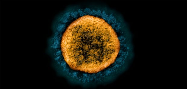 Die Neue SARS-CoV-2-Variante B.1.640.2 – Und Das Große Mutanten-Zählen