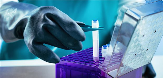 Von Blut- und Gewebeproben bis hin zu extrahierter DNA: In Biobanken lagert Material für die biomedizinische Grundlagenforschung.