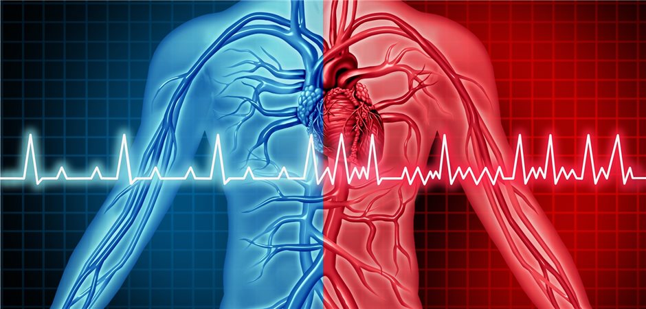 Ablation Könnte Bei Vorhofflimmern Als First-Line-Therapie Taugen