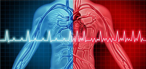 Schematische Darstellung eines Brustkorbs mit EKG