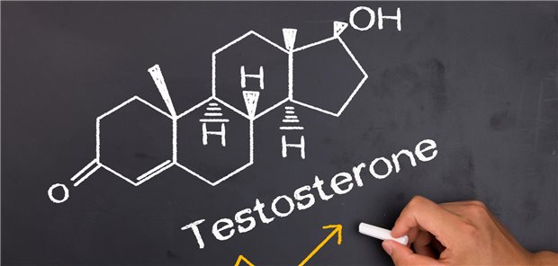 Testosteron als kardiometabolisches Therapie-Konzept: Wann es wirklich hilft Wann sollte darauf geachtet werden, dass der Testosteronspiegel wieder steigt? Hier gilt es einiges zu beachten.