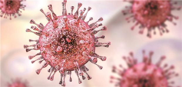 Aufnahme eines Coronavirus, rot eingefärbt