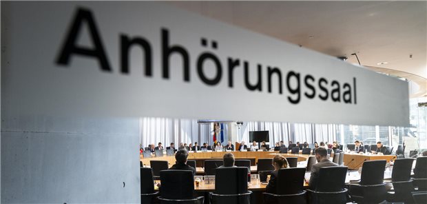 Anhörung zum GKV-Sparpaket: Koalition zwischen Baum und Borke Woran spart das GKV-Sparpaket? Am Geld oder an den Versorgungsstrukturen?