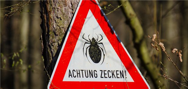 Borreliose: Neue Zi-Daten zeigen Hotspots und steigende Inzidenz 2024 Schild an einem Baum, das vor Zecken warnt