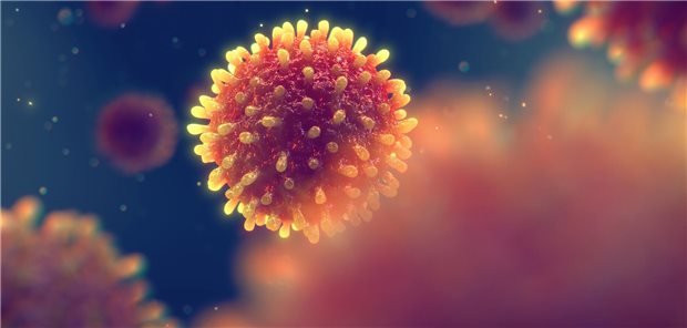 Hepatitis D und E: Wichtig oder nicht? Zwar liegen die Hepatitiden D und E im Schatten der beiden Typen B und C, doch gerade immunsupprimierte Patienten und Patientinnen sollten darauf sensibilisiert werden.